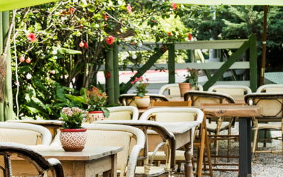 Restaurantes imperdibles en la ciudad de Montevideo